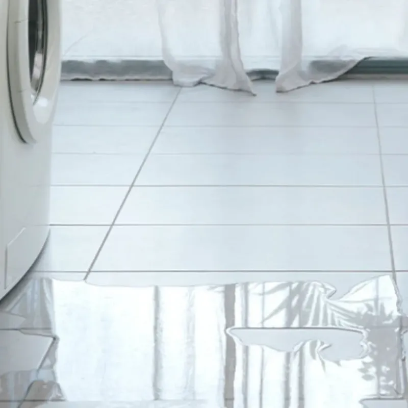 Appliance Leak Cleanup in Merrillville, IN
