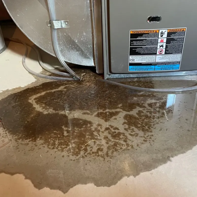 Pipe Burst and Leak Restoration in Merrillville, IN