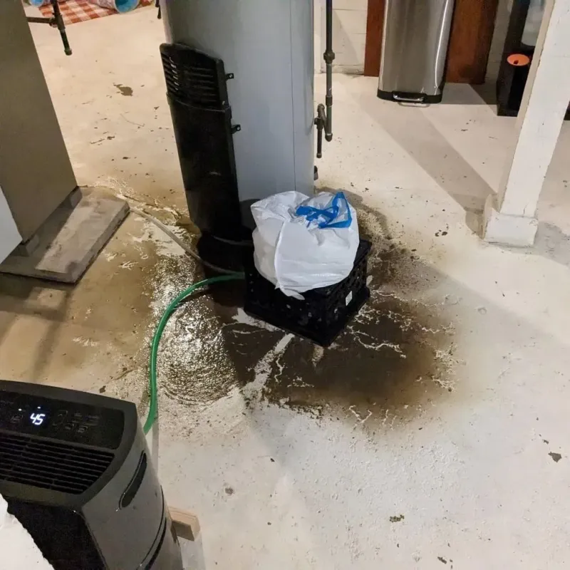Sewage Backup Cleanup Service in Merrillville, IN